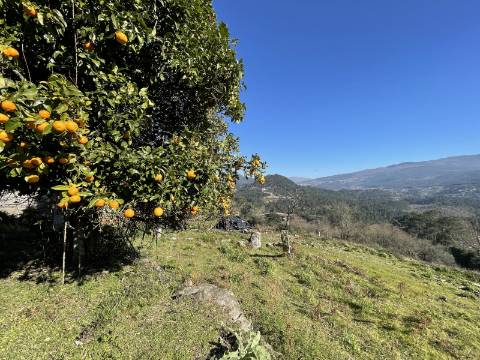 Quinta/Aldeamento com 3 Moradias em Merufe, Monção