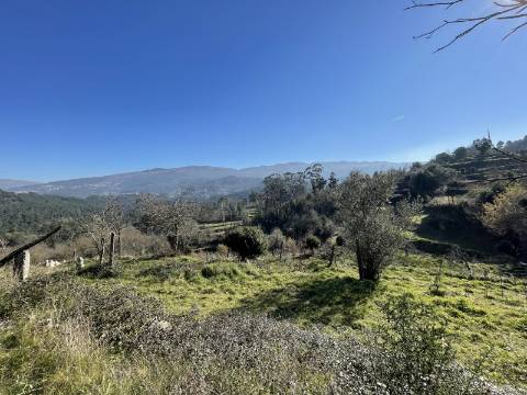 Quinta/Aldeamento com 3 Moradias em Merufe, Monção