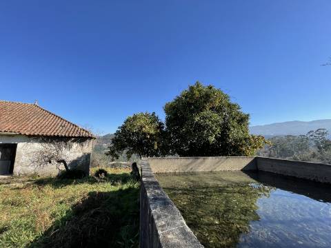 Quinta/Aldeamento com 3 Moradias em Merufe, Monção