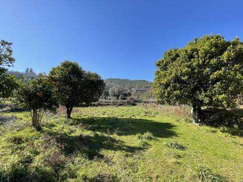 Quinta/Aldeamento com 3 Moradias em Merufe, Monção