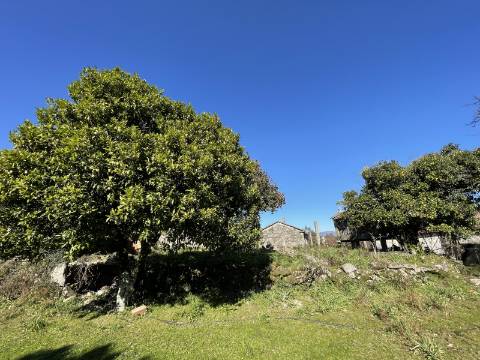 Quinta/Aldeamento com 3 Moradias em Merufe, Monção