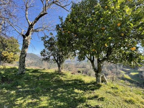 Quinta/Aldeamento com 3 Moradias em Merufe, Monção