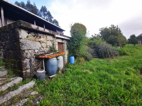 Moradia T2 com 8050m² de terreno