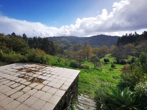 Moradia T2 com 8050m² de terreno