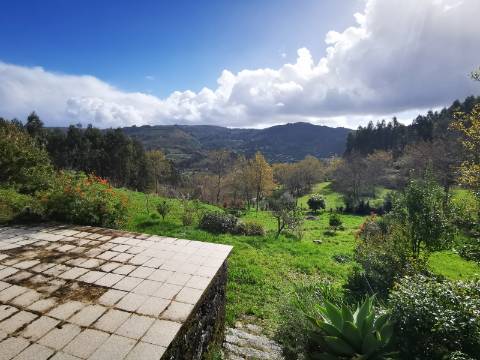 Moradia T2 com 8050m² de terreno