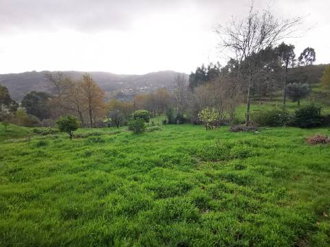 Moradia T2 com 8050m² de terreno