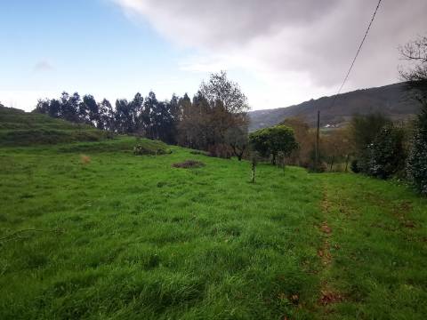 Moradia T2 com 8050m² de terreno