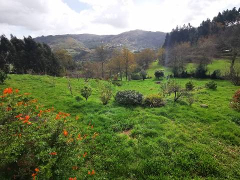 Moradia T2 com 8050m² de terreno