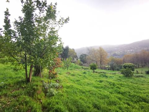 Moradia T2 com 8050m² de terreno