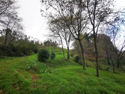 Moradia T2 com 8050m² de terreno