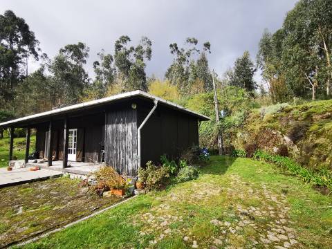 Moradia T2 com 8050m² de terreno