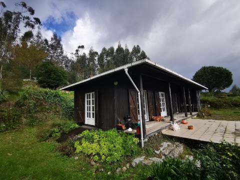 Moradia T2 com 8050m² de terreno