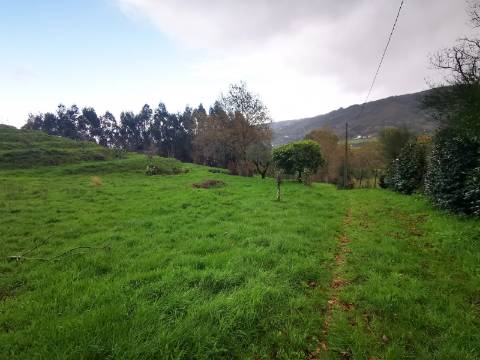 Moradia T2 com 8050m² de terreno