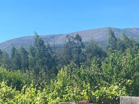 Moradia T2-3 com vistas para a Serra de Arga