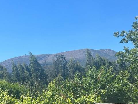 Moradia T2-3 com vistas para a Serra de Arga