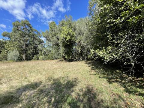Quinta em Torre, Viana do Castelo