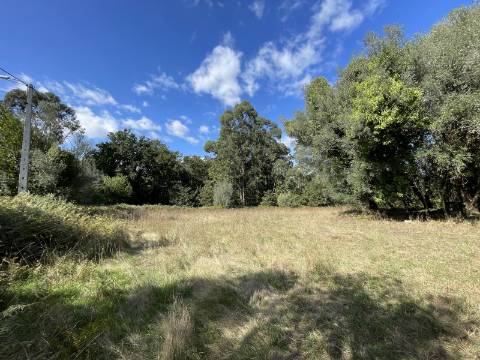 Quinta em Torre, Viana do Castelo