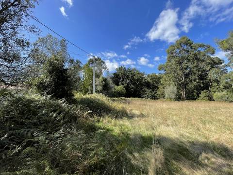 Quinta em Torre, Viana do Castelo