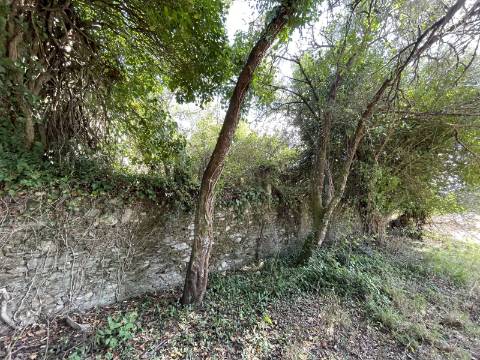 Quinta em Torre, Viana do Castelo