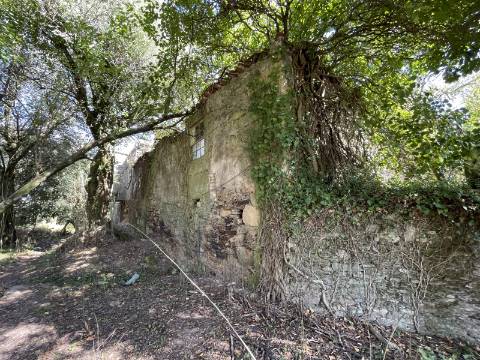 Quinta em Torre, Viana do Castelo