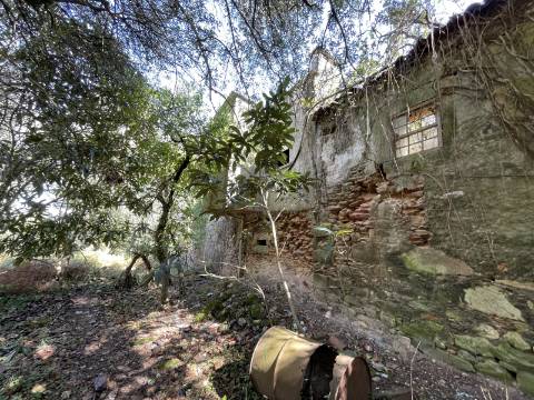 Quinta em Torre, Viana do Castelo