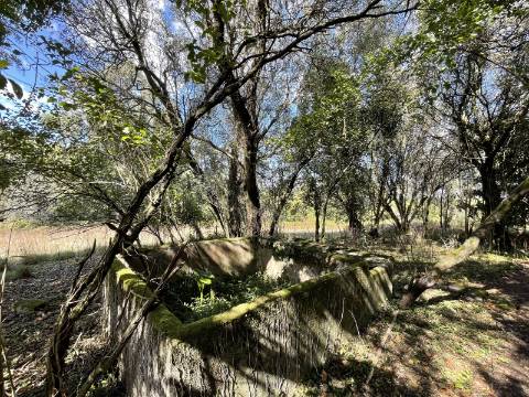 Quinta em Torre, Viana do Castelo