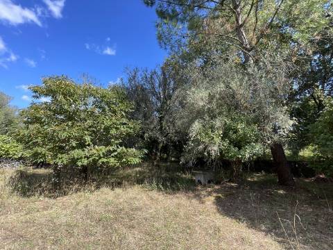 Quinta em Torre, Viana do Castelo