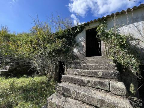 Quinta em Torre, Viana do Castelo