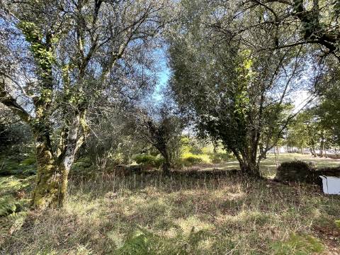 Quinta em Torre, Viana do Castelo