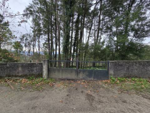 Terreno Construível com Vista Deslumbrante, Vista Mar - 1463,99 m² - 65.000€