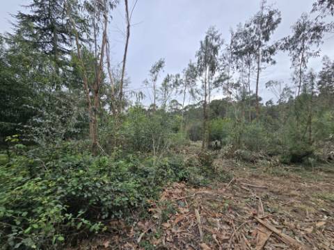 Terreno Construível com Vista Deslumbrante, Vista Mar - 1463,99 m² - 65.000€