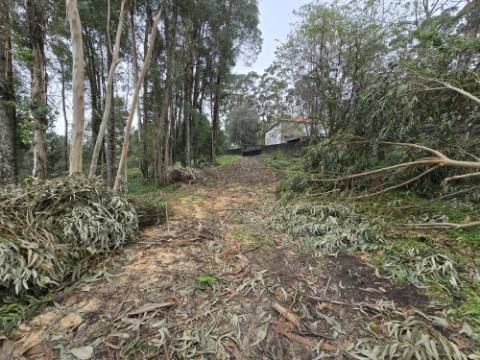 Terreno Construível com Vista Deslumbrante, Vista Mar - 1463,99 m² - 65.000€