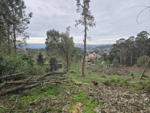 Terreno Construível com Vista Deslumbrante, Vista Mar - 1463,99 m² - 65.000€