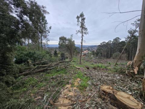 Terreno Construível com Vista Deslumbrante, Vista Mar - 1463,99 m² - 65.000€