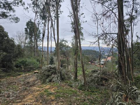 Terreno Construível com Vista Deslumbrante, Vista Mar - 1463,99 m² - 65.000€