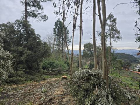 Terreno Construível com Vista Deslumbrante, Vista Mar - 1463,99 m² - 65.000€