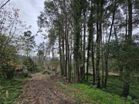 Terreno Construível com Vista Deslumbrante, Vista Mar - 1463,99 m² - 65.000€