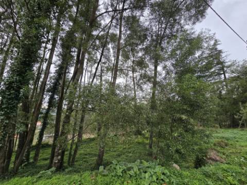 Terreno Construível com Vista Deslumbrante, Vista Mar - 1463,99 m² - 65.000€