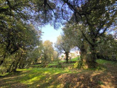 Terreno para construção