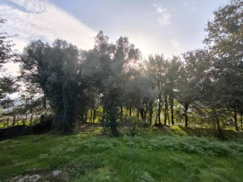 Terreno para construção