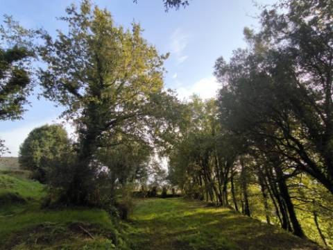 Terreno para construção