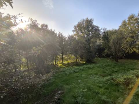 Terreno para construção