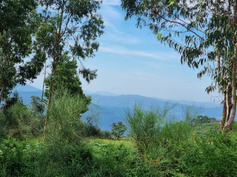 Terreno na Vacariça