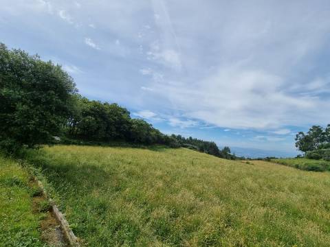 Terreno na Vacariça