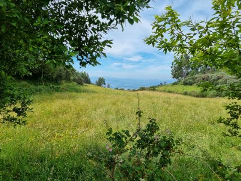 Terreno na Vacariça