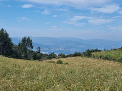 Terreno na Vacariça