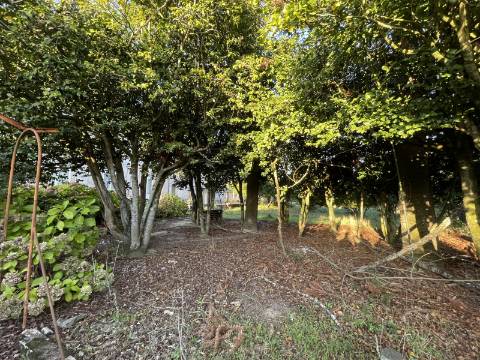 Quinta das Laranjeiras - Santa Marta de Portuzelo, Viana do Castelo