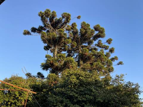 Quinta das Laranjeiras - Santa Marta de Portuzelo, Viana do Castelo