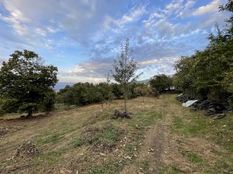 Terreno p/ Construção em Grovelas, Ponte da Barca