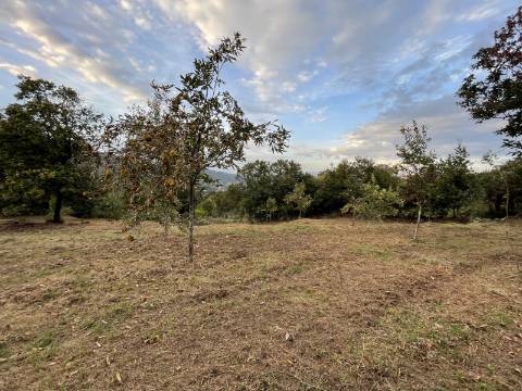 Terreno p/ Construção em Grovelas, Ponte da Barca